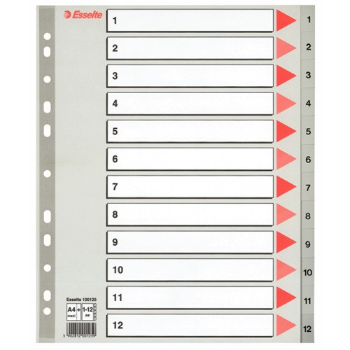 Regiszter PP Esselte A/4 1-12-ig szürke maxi 100125