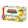 Gyümölcstea TEEKANNE World of Fruits gyömbér-citrom 20x2,5gr