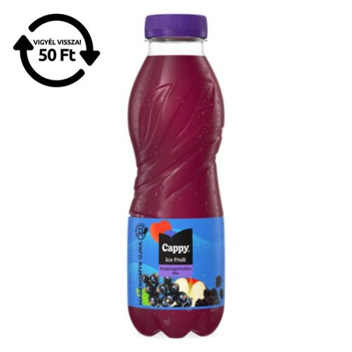 Üdítőital szénsavmentes CAPPY Ice Fruit Erdei gyümölcs 12% 0,5L DRS